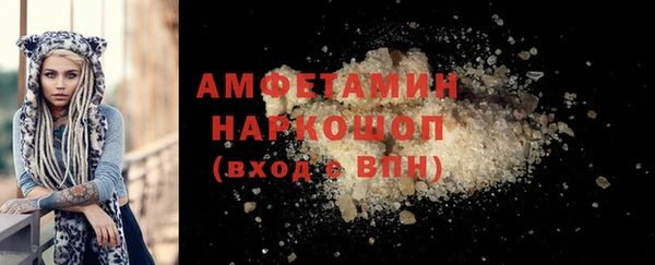 мет Алексин