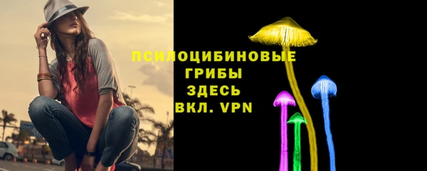 прущие грибы Арсеньев