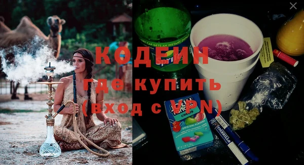 мет Алексин