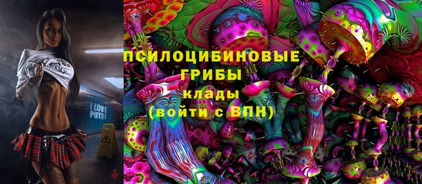 мет Алексин