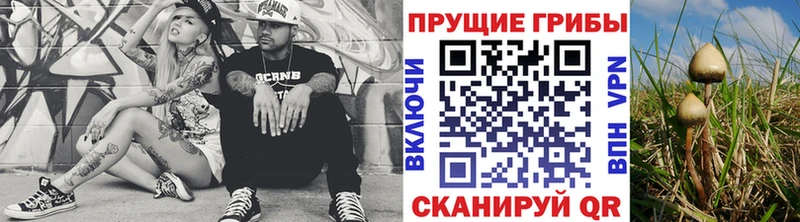 Купить где  Инта  Псилоцибиновые грибы Psilocybine cubensis 